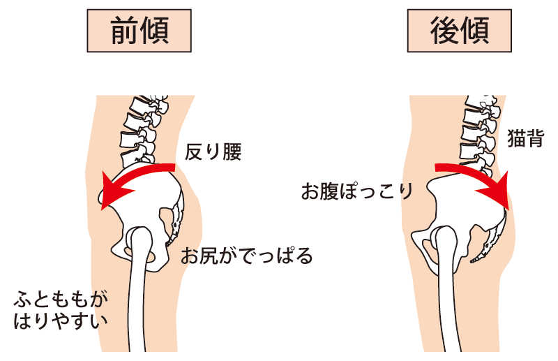 ぽっこりお腹、くびれができない原因と根本治療。h&h八王子ユーロードの鍼灸整骨院・整体院